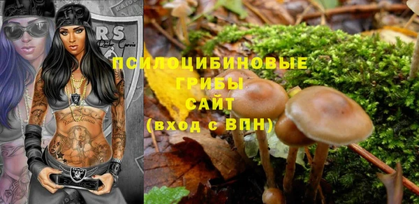 СК Абдулино