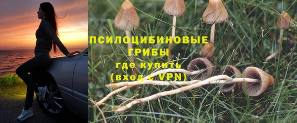 стаф Абинск