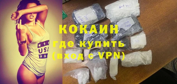 винт Абаза