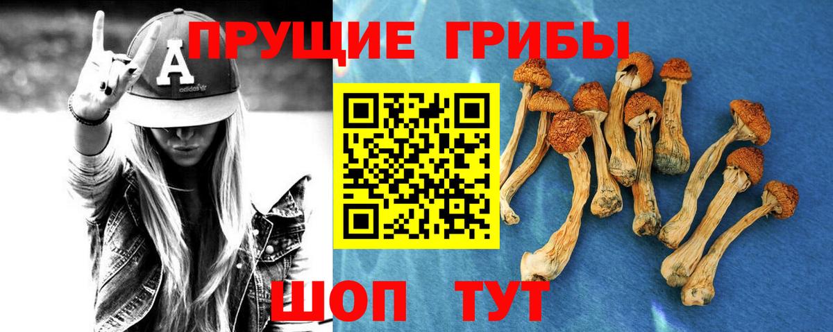 Галлюциногенные грибы мухоморы Каменск-Шахтинский