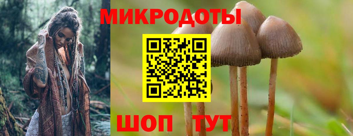 Каменск-Шахтинский  Псилоцибиновые грибы Psilocybine cubensis  Вход с VPN 